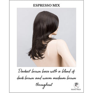 Voice Large wig by Ellen Wille in Espresso Mix-Darkest brown base with a blend of dark brown and warm medium brown throughout 