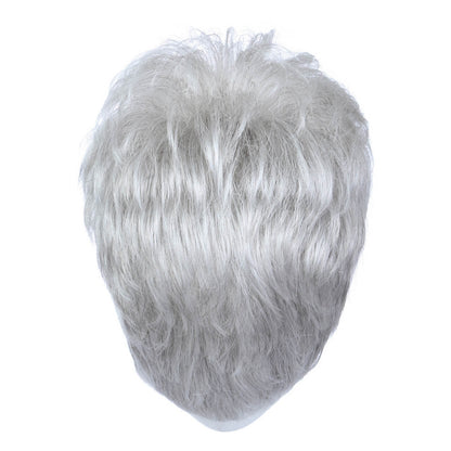 Whisper by Raquel Welch in Silver Mist (R56/60) Product Image