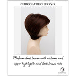 Load image into Gallery viewer, Whitney By Envy in Chocolate Cherry-R-Medium dark brown with auburn and copper highlights and dark brown roots
