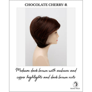 Whitney By Envy in Chocolate Cherry-R-Medium dark brown with auburn and copper highlights and dark brown roots