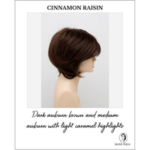 Whitney By Envy in Cinnamon Raisin-Dark auburn brown and medium auburn with light caramel highlights