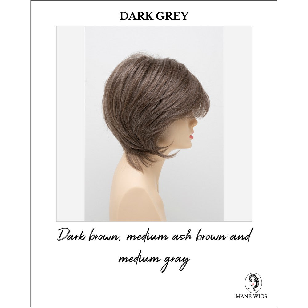 Whitney By Envy in Dark Grey-Dark brown, medium ash brown and medium gray