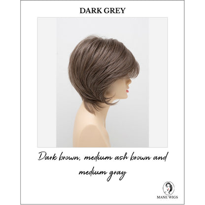 Whitney By Envy in Dark Grey-Dark brown, medium ash brown and medium gray