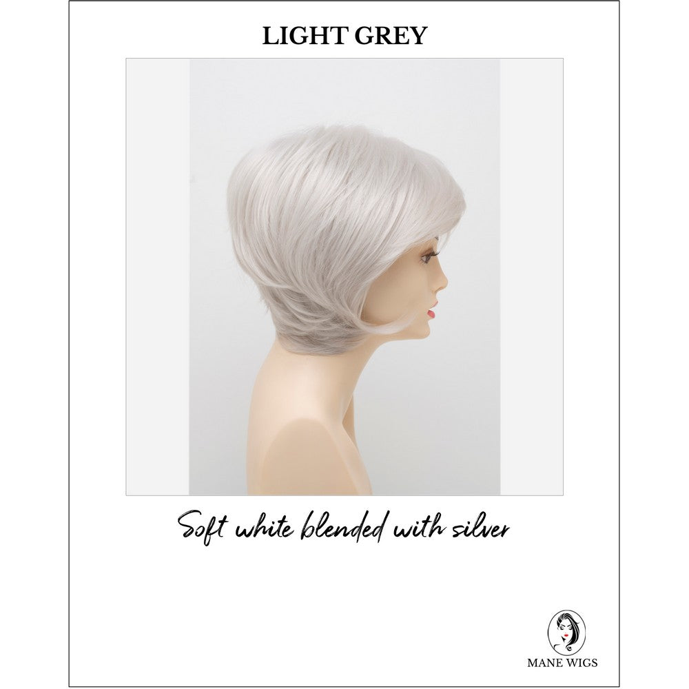 Whitney By Envy in Light Grey-Soft white blended with silver