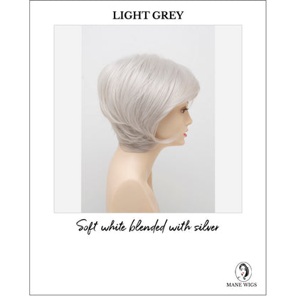 Whitney By Envy in Light Grey-Soft white blended with silver