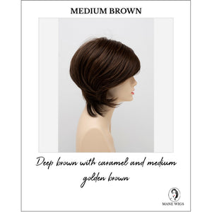 Whitney By Envy in Medium Brown-Deep brown with caramel and medium golden brown