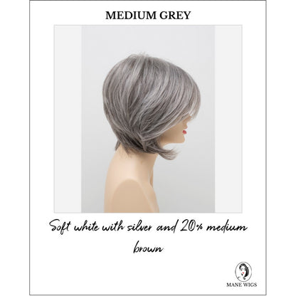 Whitney By Envy in Medium Grey-Soft white with silver and 20% medium brown