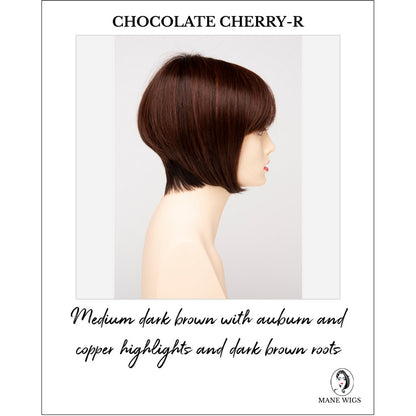 Yuri By Envy in Chocolate Cherry-R-Medium dark brown with auburn and copper highlights and dark brown roots