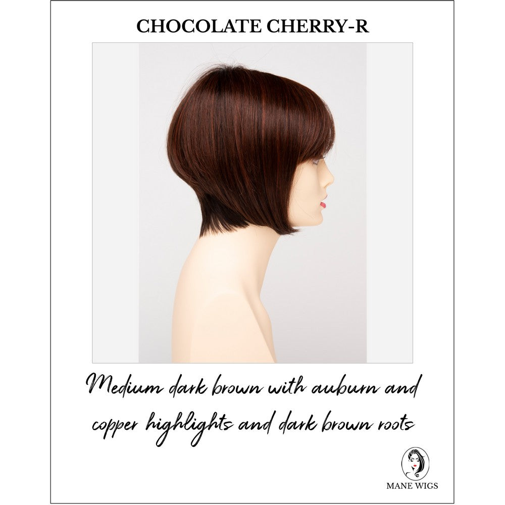 Yuri By Envy in Chocolate Cherry-R-Medium dark brown with auburn and copper highlights and dark brown roots