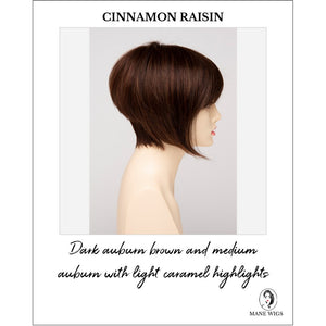Yuri By Envy in Cinnamon Raisin-Dark auburn brown and medium auburn with light caramel highlights