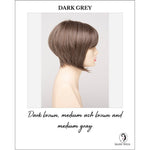 Load image into Gallery viewer, Yuri By Envy in Dark Grey-Dark brown, medium ash brown and medium gray
