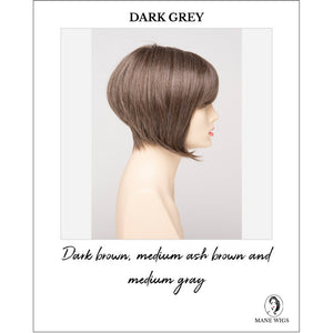 Yuri By Envy in Dark Grey-Dark brown, medium ash brown and medium gray