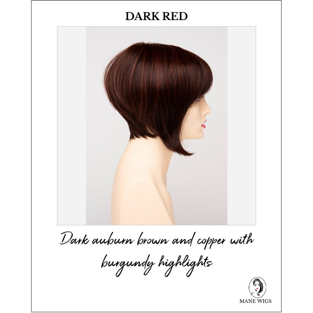 Yuri By Envy in Dark Red-Dark auburn brown and copper with burgundy highlights