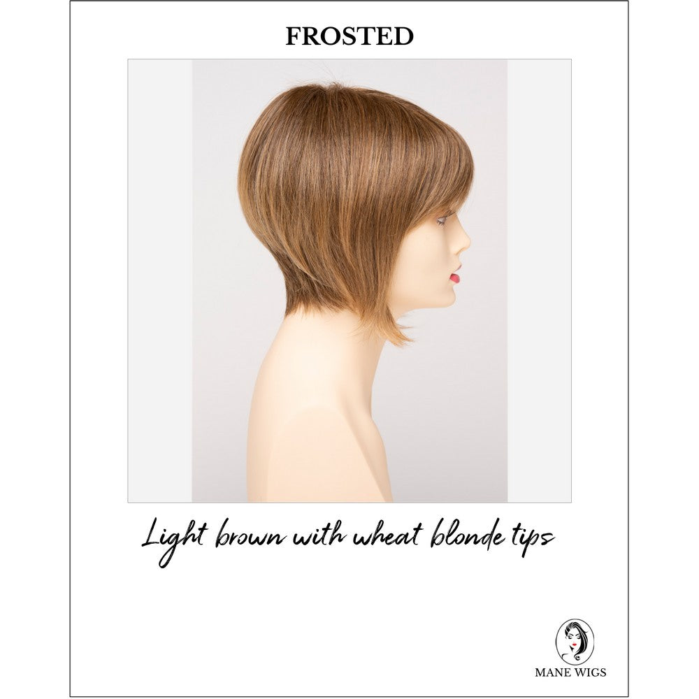 Yuri By Envy in Frosted-Light brown with wheat blonde tips
