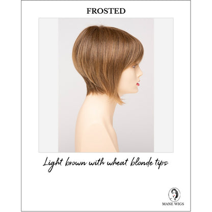 Yuri By Envy in Frosted-Light brown with wheat blonde tips