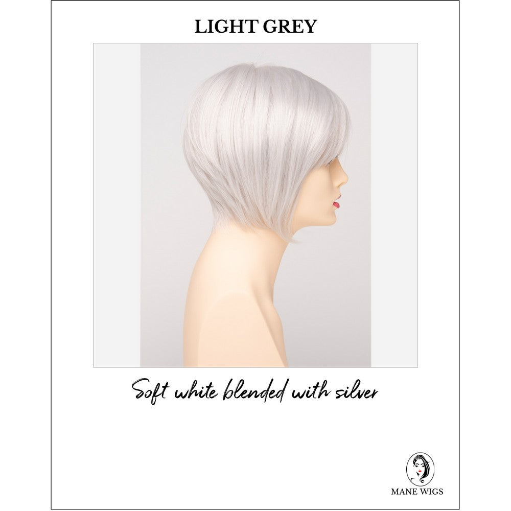 Yuri By Envy in Light Grey-Soft white blended with silver