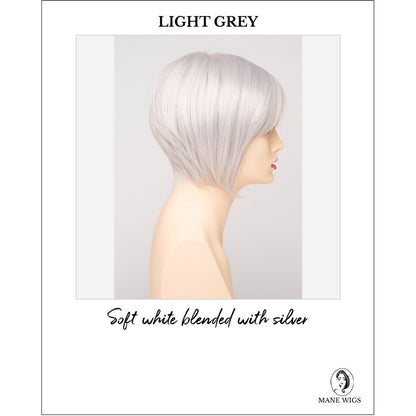 Yuri By Envy in Light Grey-Soft white blended with silver