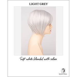 Yuri By Envy in Light Grey-Soft white blended with silver