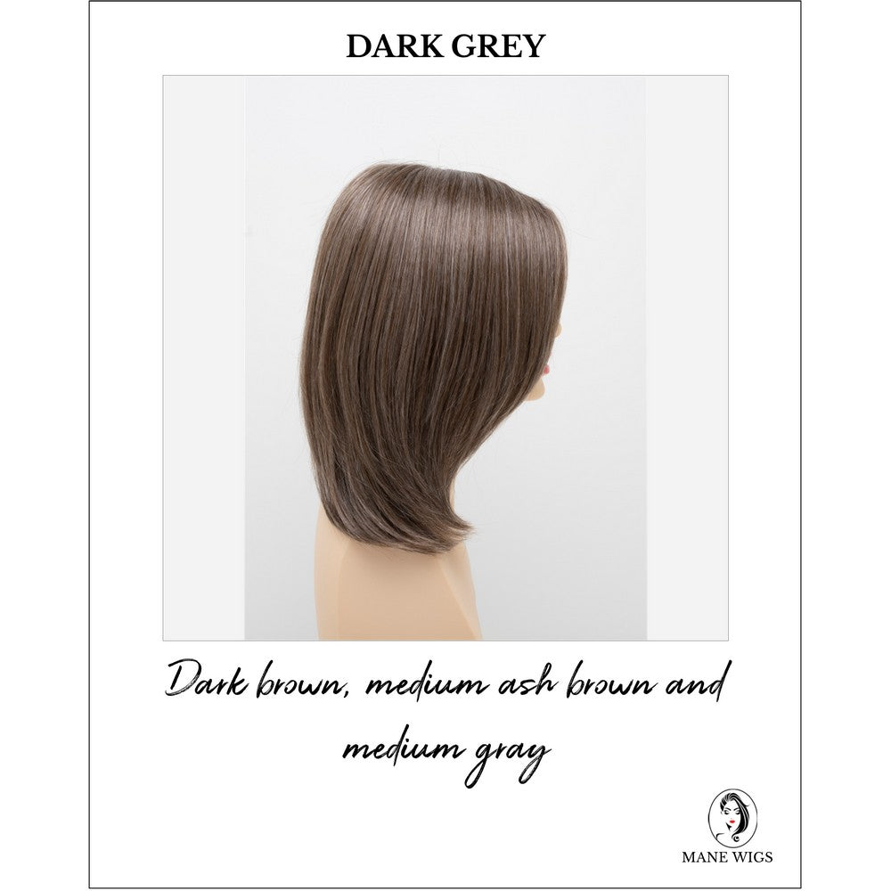 Zoey By Envy in Dark Grey-Dark brown, medium ash brown and medium gray