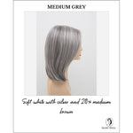 Load image into Gallery viewer, Zoey By Envy in Medium Grey-Soft white with silver and 20% medium brown
